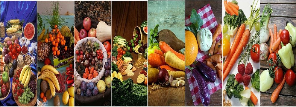 Diet and Nutrition