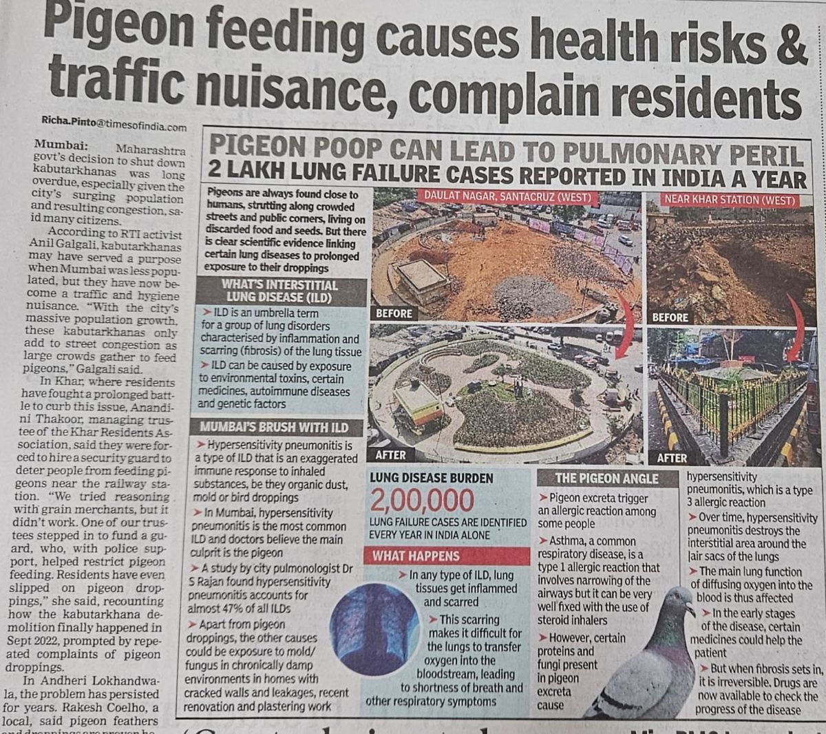 Pigeon-Feeding-Causing-Health-Hazards-and-Traffic-Nuisance-Warn-Mumbai-Residents